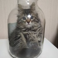 Забаненный