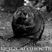 Сергей Дорофеев