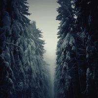 Мемный Базар