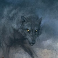 Unknown