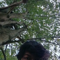 WHALIEN52