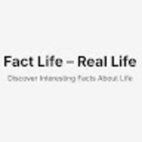 Fact Life - Real Life