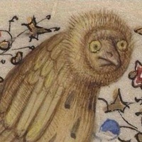 Riguard