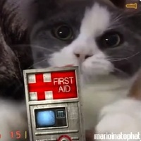 Half-Life Sound Effects