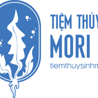 tiemthuysinhmori