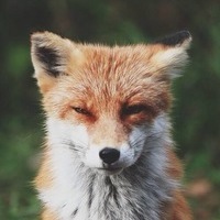 Евгений Клементьев