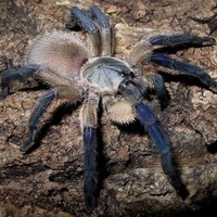 Михаил Якимченко