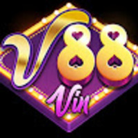 88VIN SYSTEMS