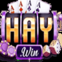HAYWIN