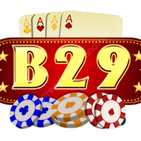 B29