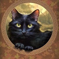 katze_felis