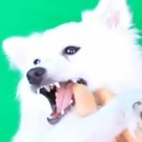 Klondike