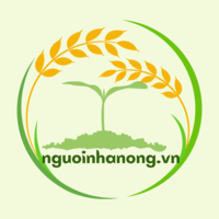 nguoinhanongvn85