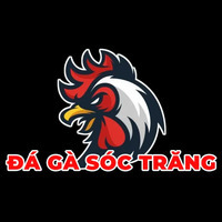 Đá Gà Sóc Trăng - Đá Gà Online 