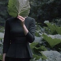 Ника Валирийская