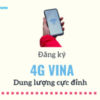 dangky4gvina003