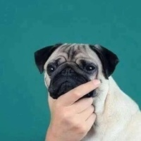 Jonathan Chandler Cox