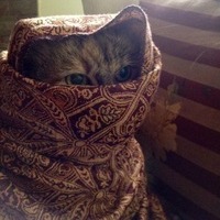 Игорь Копырин
