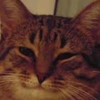 ラプラス