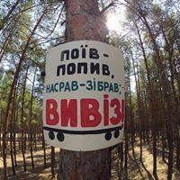 Matveevsky  Forest