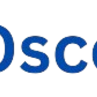 austinsoecompany