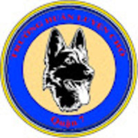 Trường Huấn Luyện Chó Quận 7 TP HCM