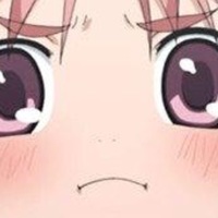TheAnimaticFan