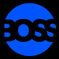 Like a Boss