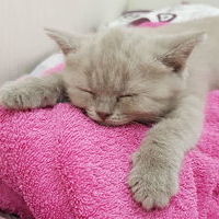 Cosplay Fun && 8bit Art