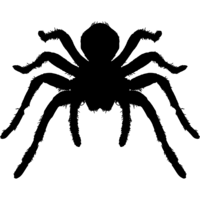 TaranTooL