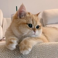 whoisme