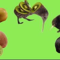 Aph_kiwi
