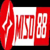 Miso88