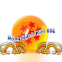 Rồng bạch kim 666