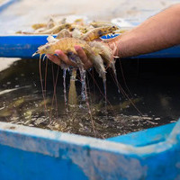 Khoáng Thủy Sản