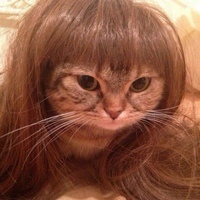 Котёна Лётова