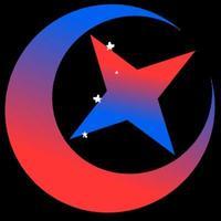 FalconPunk