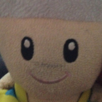 TOAD 13
