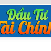 đầu tư tài chính