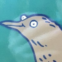 Awkbird