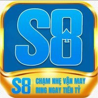 S8vn