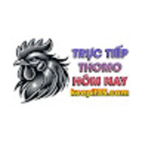 THOMOHOMNAY - ĐÁ GÀ THOMO TRỰC TIẾP HÔM NAY