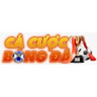 Cá Cược Bóng Đá