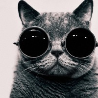 Саша Федотов