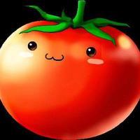 🍅Томат