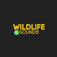 Wildlife Sounds