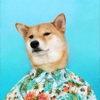 Doggo