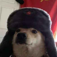 Vladir