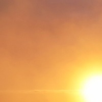 AM