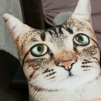 JonZi